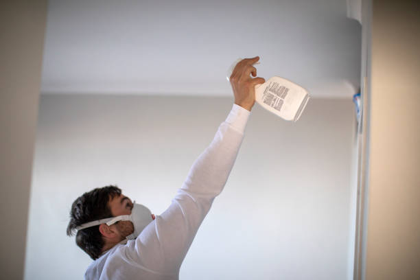 Best Emergency Mold Removal  in Big Lake, WA