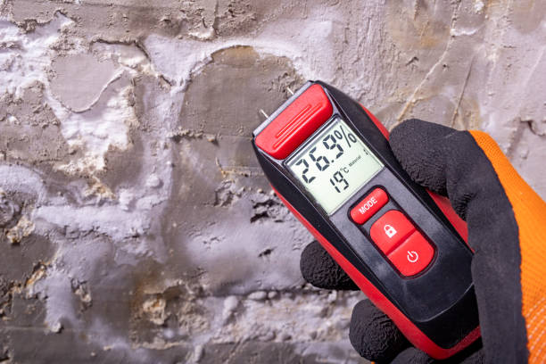Best Mold Cleaning Services  in Big Lake, WA