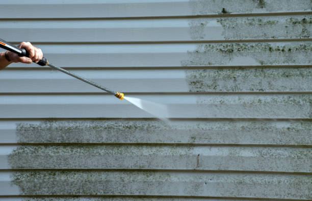 Best Mold Removal and Inspection  in Big Lake, WA